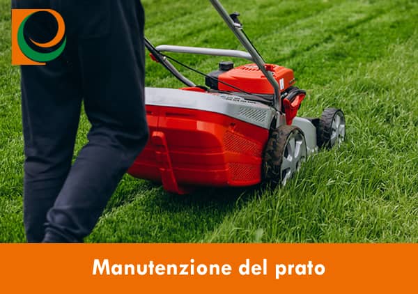 Manutenzione del prato